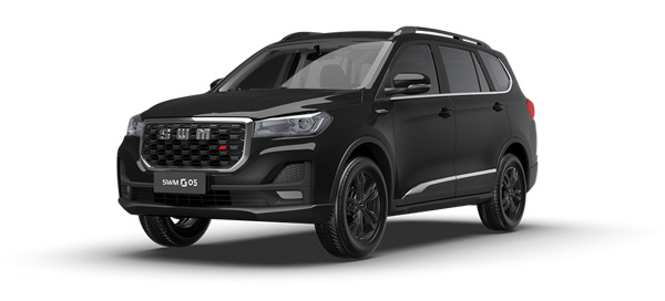 Barva SWM G5 - Černá metalíza