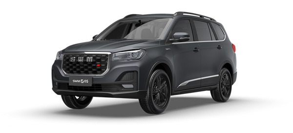 Barva SWM G5 - Šedá metalíza